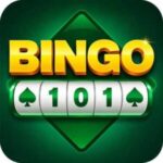 Bingo 101